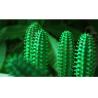 Stylo vert-foncé de cactus avec le matériel de silicium