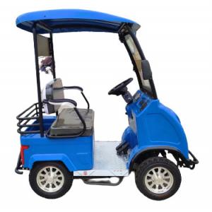 China Experience Endless Adventures With A Customizable Two-Seater Golf Cart  For Physically Disabled People supplier