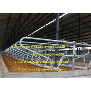 China Cow Farm Customized Dairy Free Stalls Equipment With Heavy Duty Pipe / Tube supplier