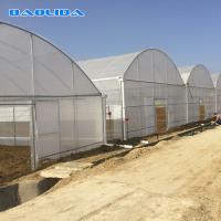 China Agricultural Commercial Industrial Plastic Multi Span Greenhouse For Tomato Planting on sale