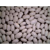 White Kidney Beans 200-220,220-240,210-230.