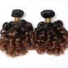 1B/4/27 3 Tone Ombre Malaysian Bouncy Curly Hair Bundles Remy Human Hair