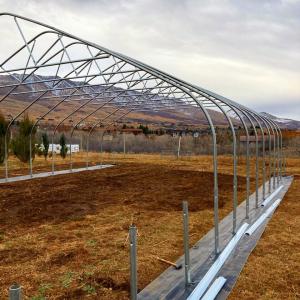 Agricultural Single-Span Greenhouses Accessories The Cheapest  Plastic Film Tunnel Greenhouse Custormized