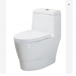 Comfort Height Siphonic One Piece Bathroom Toilet Dual Flush Single Piece Closet