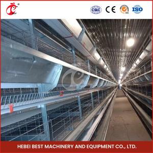Automatic Battery Egg Layer Chicken Cage Equipment Farm Poultry Laying Hens Rose