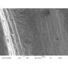 China Magnification Max 60000X Scanning Electron Microscope 15nm Resolution Optional EDS wholesale