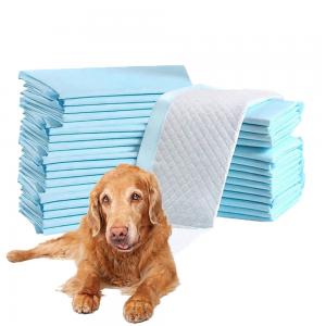 Small Animals Protection Odor Eliminating Scented Pet Training Urine Absorbent Pad