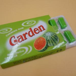 Garden Long Shape Pop Bubble Gum Chewing Gum Kids Tasty OEM Available