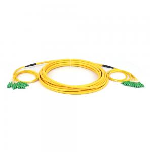 SC/APC - SC/APC Breakout Fiber Cable Singlemode SM 12 Cores Fiber Optic Patchcord
