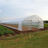 China Polycarbonate PC Board Greenhouse High Tunnel Plastic Film Side Ventilation Single-Span Greenhouse on sale