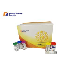 China Sandwich Human Elisa Kit 96 Well For Kidney Injury Molecule 1 Detection supplier
