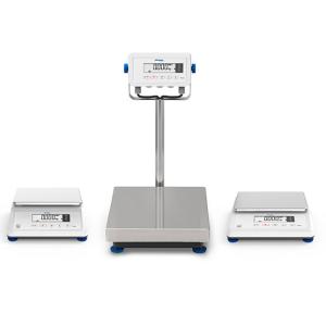 High Precision Bench Weighing Scale For Industry Multi Functional Weighing Solution