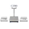 High Precision Bench Weighing Scale For Industry Multi Functional Weighing Solution