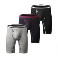 China Athletic Fitness Sportswear Mens Boxer Briefs Underwear Long Leg Compression Running on sale