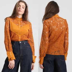 China 2019 Fall Apparel for Women New Arrival Lace Brown Long Sleeve Blouse Tops supplier