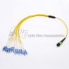 China MPO To LC Male LSZH G657A Fiber Optic Patch Cord 12 Cores wholesale