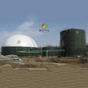 China Biogas Storage Tank Price Biogas Storage Tank Design supplier