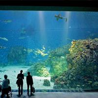 China Uv Resistant 6mm Aquarium Transparent Perspex Acrylic Sheet Cut To Size on sale