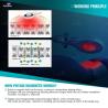 China GMS PM-ST 3 NEO NIRS Pulsed Magneto Therapy with Near Infrared Advanced 5 Tesla Pulsed Magneto Therapy Device Near Infrared and Magnetotherapy 3-in-1 Treatment System wholesale