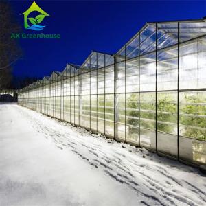 China Venlo Winter Glass Tomato Greenhouse supplier