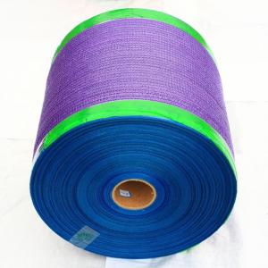 China Packing Onion And Other Agricultural Products 54*78cm 28g Dark Green Disposable PE Plastic Raschel Mesh Bag In Roll supplier