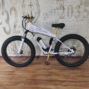 48V 500W Power Electric Bike for Exercise Balance and Retro Vintage Ebike Adventures