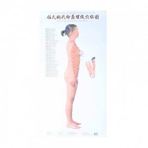 Diagramme de points méridien d'Acupressure d'Acupoint de culture d'acuponcture de corps humain