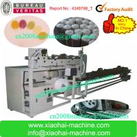 Newest Paper Stick Making Machine For Cotton Swab Stick with auto feeding , auto wrapping