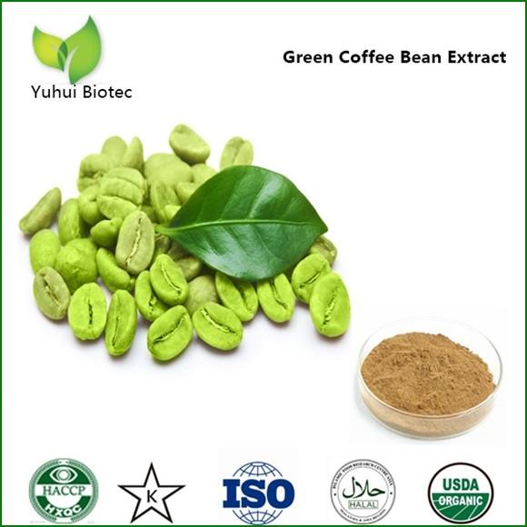 bulk powder green coffee bean extract,pure chlorogenic acid,pure chlorogenic