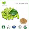 bulk powder green coffee bean extract,pure chlorogenic acid,pure chlorogenic