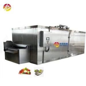 China 500kg Capacity Tunnel Freezing Machine for Quick Freezing Fish Shrimp Fruit and Vegetables supplier