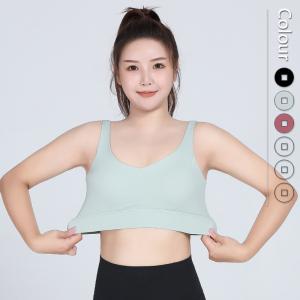 China U Shaped 4XL Plus Size Sports Bra Full Cup One Piece Breathable Moisture Wicking supplier