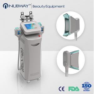 China Cryolipolisis machine freeze fat cool sculpt fat freezing treatment fat cavitation machine for sale supplier