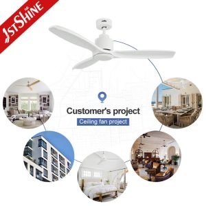 China Class A Energy Efficiency Ceiling Fan with Comfortable Design and Adjustable Wind Speed wholesale