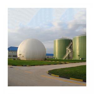 Pig Manure Digester Tank Biogas Anaerobic Digester Capacity