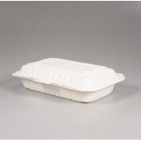 20 Ounce 600ml Eco Friendly Disposable Lunch Boxes Takeaway