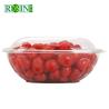 24oz Disposable Fruit Plastic Container Custom PET Fruit Packaging Container