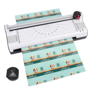 China Paper Size A4 Laminating Machine 1.9KG Thermal Cold Hot Office Laminator for Drop Shipping supplier