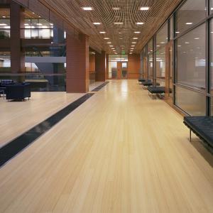 China Hospital Eco Forest Holland Hs Morningstar Cafe Noir Kitchen Shelf Multilayer Bamboo Flooring supplier