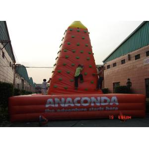 Customized Inflatable Sports Games Plastic Kids Rock Climbing Wall EN71