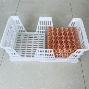 China Raw PP Hatchery Layer Egg Transport Box 700*360*270mm For Chicken Farm supplier