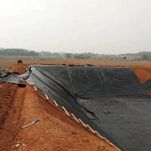 China Industrial Design Style Geomembranes for Landfill Anti-seepage and Drainage at Prices supplier