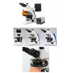 HBO FL Unit Upright Fluorescence Microscope , Laboratory Biological Microscope