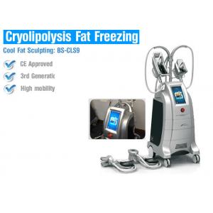 China Safety Cryolipolysis Fat Loss Machines , Fat Freezing Body Contouring Machine supplier