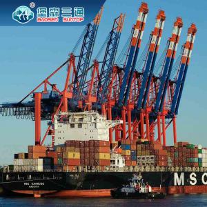 China China International Freight Forwarder Logistics Company Sea Shipping To Europe / UK supplier