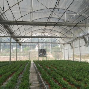 Commercial Greenhouse Rolling Benches Transportable Breeding Nursery Seedling