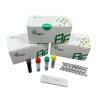 China Rapid Herpesvirus Hominis Isothermal Pathogen Detection Kit With 5-20mins wholesale