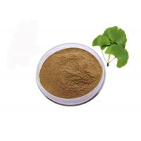 China Food Grade Nutritional Brown Ginkgo Biloba Leaf Extract Powder on sale