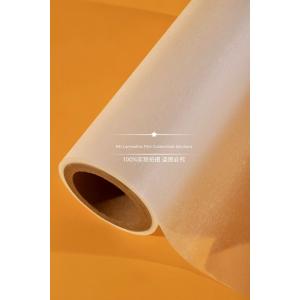 Multiple Extrusion Hot Lamination Film Rolls With Premium EVA For Magazines