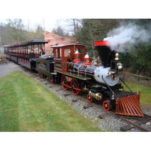 El tren locomotor del motor de vapor monta el tren del viaje del día monta para el parque temático
